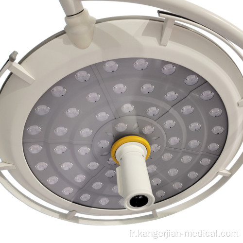 Double Dome LED700 Opération sans ombre lumières chirurgicales LED Unité d&#39;éclairage de chirurgie médicale pour le vétérinaire médical